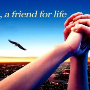 A cooperation, a friend for life